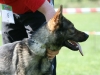 Nash Kopfoto FGK 2009